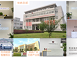 SDG集團(tuán)協(xié)緯多公司初獲ISO認(rèn)證，全面部署標(biāo)準(zhǔn)化營運(yùn)方針                                                                                                                         